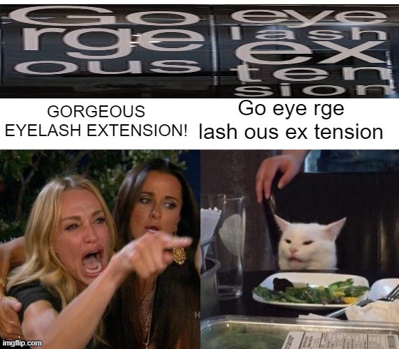 we see different things | image tagged in misspelled,woman yelling at cat | made w/ Imgflip meme maker