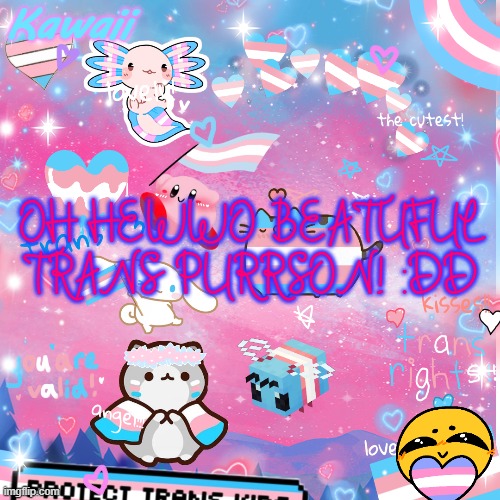OH BOY TRANS TIME | OH HEWWO BEATUFUL TRANS PURRSON! :DD | image tagged in oh boy trans time | made w/ Imgflip meme maker