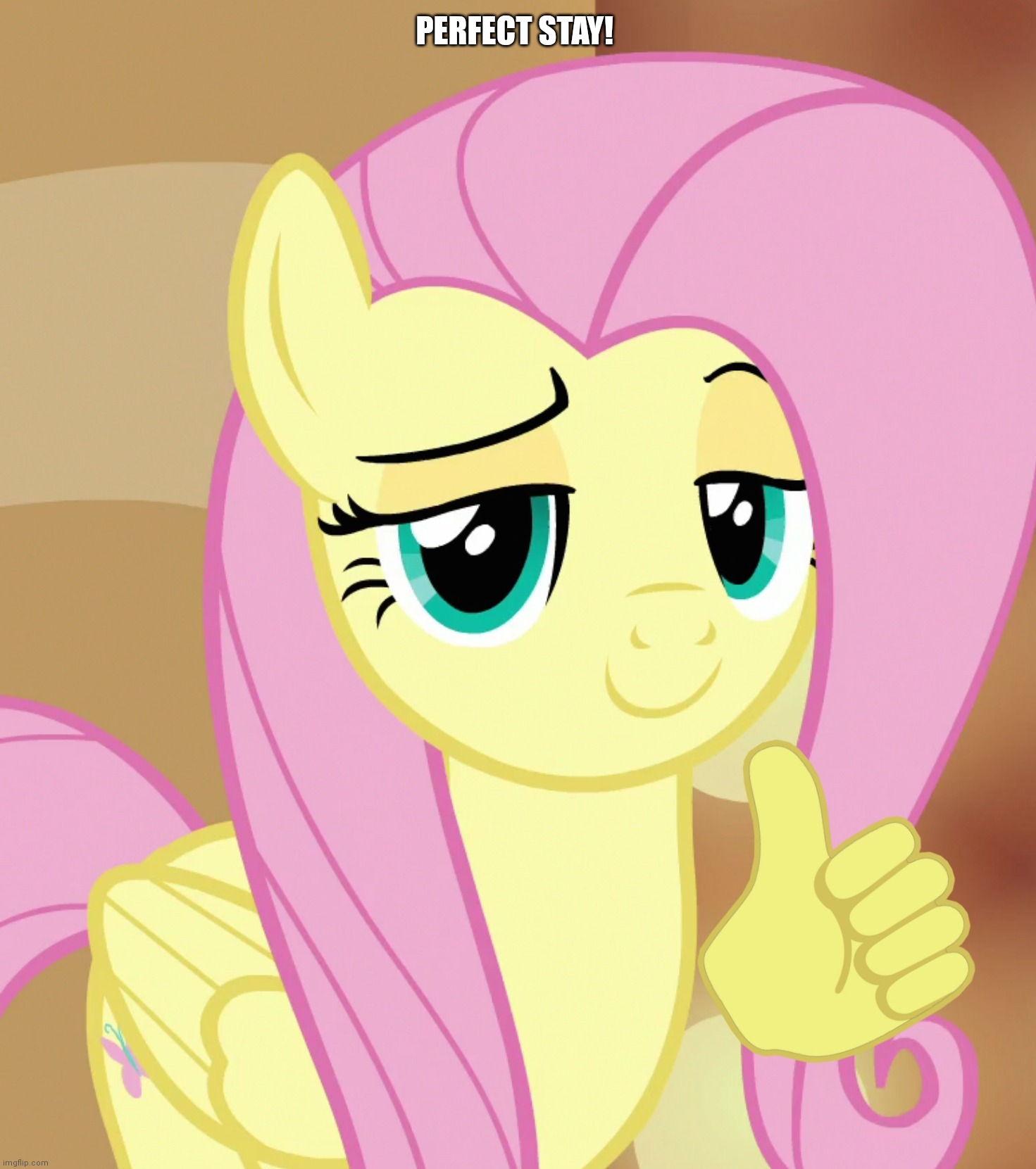 PERFECT STAY! | image tagged in fluttershy,thumbs up,my little pony,memes | made w/ Imgflip meme maker