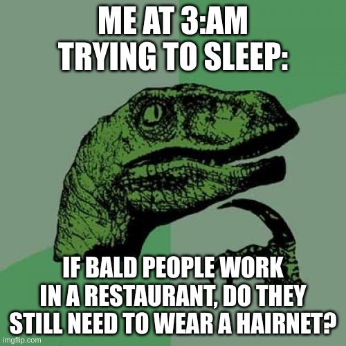 I like my title | ME AT 3:AM TRYING TO SLEEP:; IF BALD PEOPLE WORK IN A RESTAURANT, DO THEY STILL NEED TO WEAR A HAIRNET? | image tagged in memes,philosoraptor | made w/ Imgflip meme maker