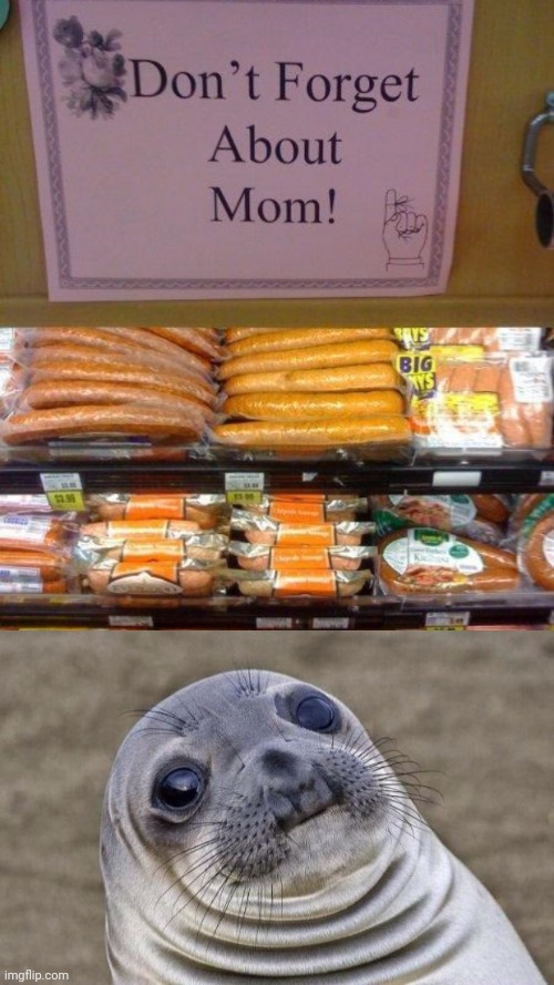 Hol up | image tagged in memes,awkward moment sealion,moms,mom,you had one job,meat | made w/ Imgflip meme maker