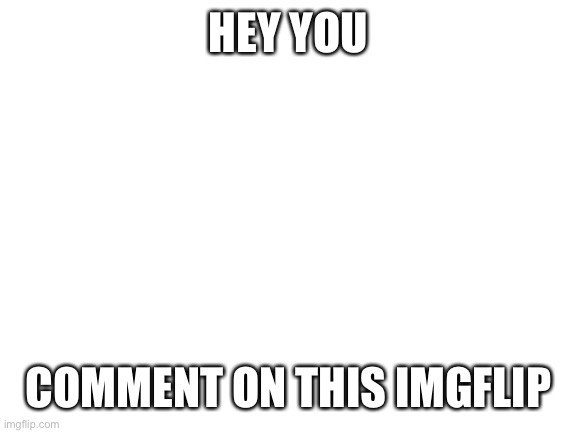 Blank White Template | HEY YOU; COMMENT ON THIS IMGFLIP | image tagged in blank white template | made w/ Imgflip meme maker