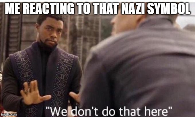 We dont do that here | ME REACTING TO THAT NAZI SYMBOL | image tagged in we dont do that here | made w/ Imgflip meme maker