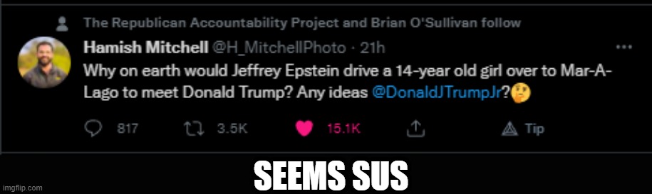 Just gonna leave this here... | SEEMS SUS | image tagged in pedophile,trump,epstein,creepy,maga,republican | made w/ Imgflip meme maker