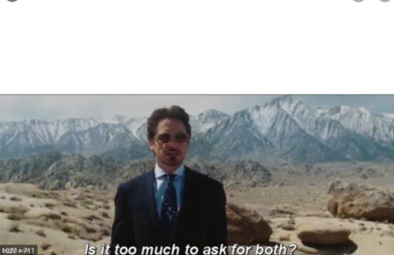Tony Stark Is It To Much To Ask For Both | image tagged in tony stark is it to much to ask for both | made w/ Imgflip meme maker
