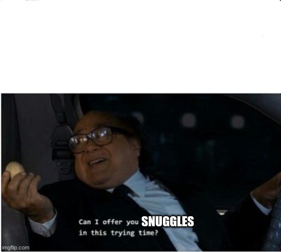 Can I offer you an egg | SNUGGLES | image tagged in can i offer you an egg | made w/ Imgflip meme maker