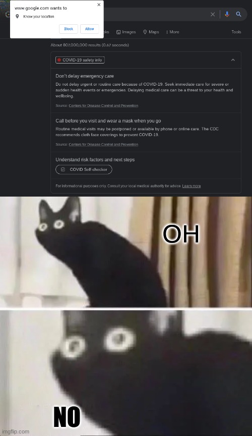 haven't made a meme in a while. hope you like! :) | OH; NO | image tagged in oh no black cat | made w/ Imgflip meme maker