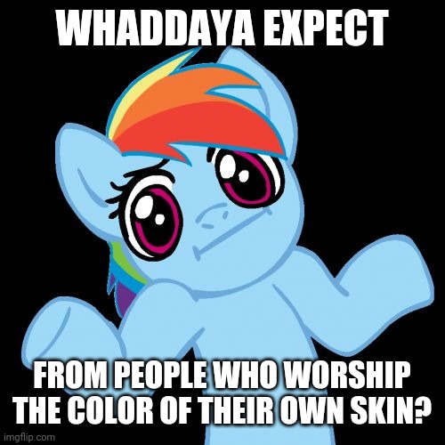 Pony Shrugs Meme | WHADDAYA EXPECT FROM PEOPLE WHO WORSHIP THE COLOR OF THEIR OWN SKIN? | image tagged in memes,pony shrugs | made w/ Imgflip meme maker