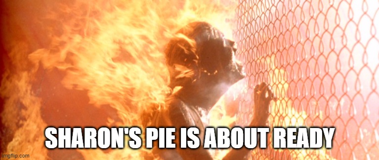 SHARON'S PIE IS ABOUT READY | image tagged in pie | made w/ Imgflip meme maker