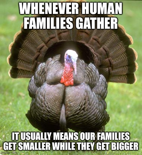 smaller family = dead turkeys, bigger family = fatter | WHENEVER HUMAN FAMILIES GATHER; IT USUALLY MEANS OUR FAMILIES GET SMALLER WHILE THEY GET BIGGER | image tagged in memes,turkey,funny,dark humor,oof | made w/ Imgflip meme maker