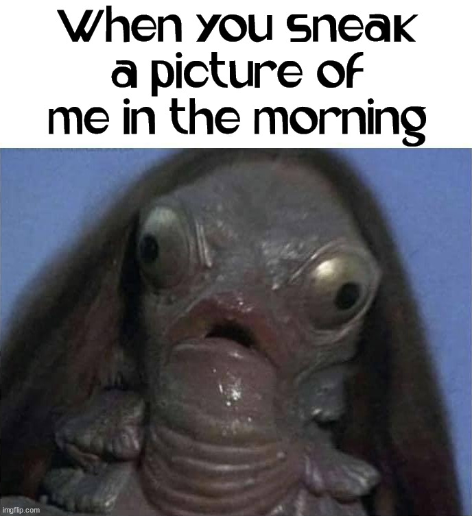 When you sneak a picture of me in the morning | image tagged in profile picture,selfie | made w/ Imgflip meme maker