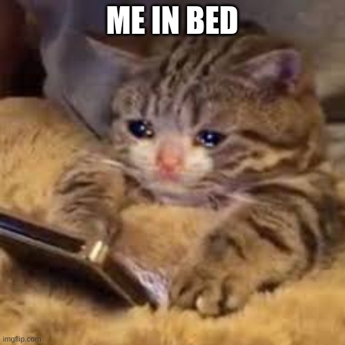 Sad Cat Looking At Phone | ME IN BED | image tagged in sad cat looking at phone | made w/ Imgflip meme maker