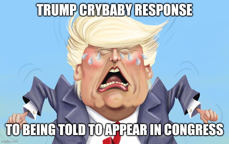 Donald Trump | TRUMP CRYBABY RESPONSE; TO BEING TOLD TO APPEAR IN CONGRESS | image tagged in donald trump,crying,loser,january | made w/ Imgflip meme maker