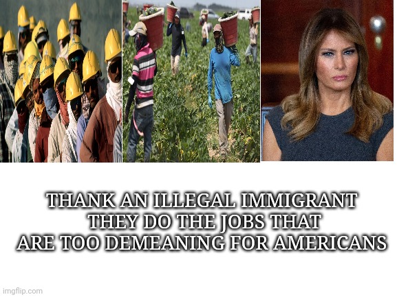 Blank White Template | THANK AN ILLEGAL IMMIGRANT 
THEY DO THE JOBS THAT ARE TOO DEMEANING FOR AMERICANS | image tagged in blank white template,funny memes | made w/ Imgflip meme maker