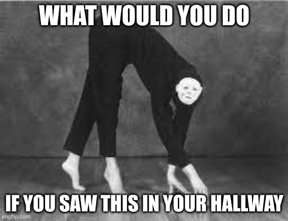 The Poughkeepsie Tapes | WHAT WOULD YOU DO; IF YOU SAW THIS IN YOUR HALLWAY | image tagged in the poughkeepsie tapes | made w/ Imgflip meme maker