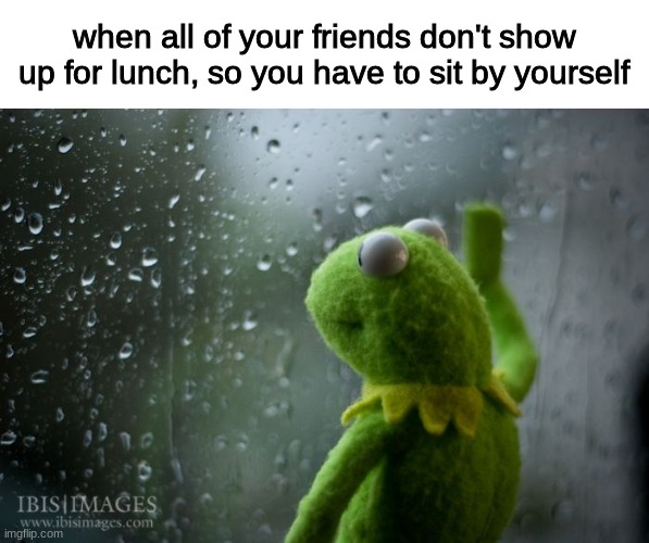 big sad | when all of your friends don't show up for lunch, so you have to sit by yourself | image tagged in kermit window | made w/ Imgflip meme maker