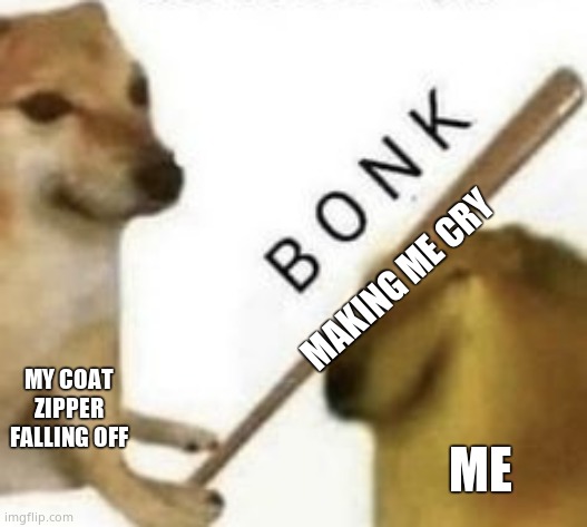 Bonk | MAKING ME CRY; MY COAT ZIPPER FALLING OFF; ME | image tagged in bonk | made w/ Imgflip meme maker