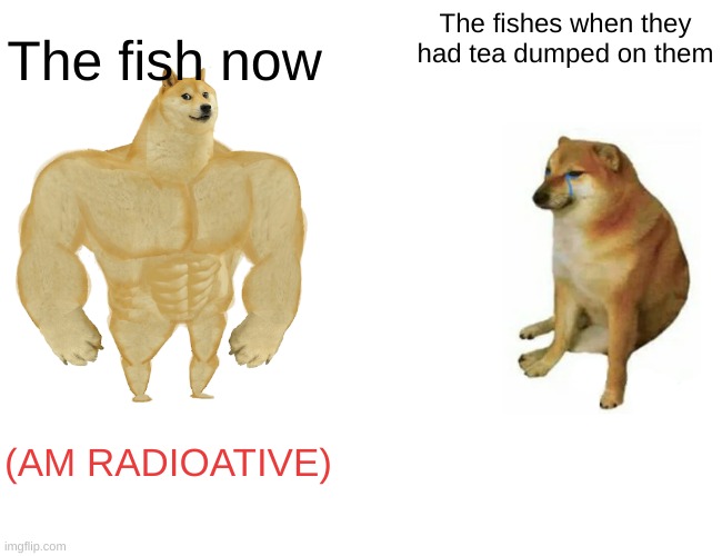 Buff Doge vs. Cheems | The fishes when they had tea dumped on them; The fish now; (AM RADIOATIVE) | image tagged in memes,buff doge vs cheems | made w/ Imgflip meme maker