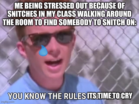 Rick astley you know the rules | ME BEING STRESSED OUT BECAUSE OF SNITCHES IN MY CLASS WALKING AROUND THE ROOM TO FIND SOMEBODY TO SNITCH ON: ITS TIME TO CRY | image tagged in rick astley you know the rules | made w/ Imgflip meme maker