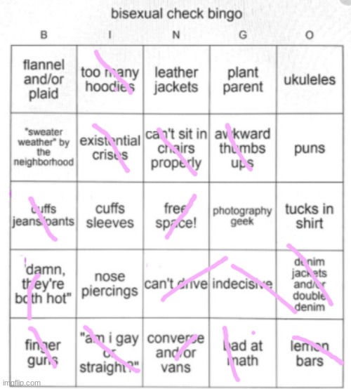 Bisexual Bingo | image tagged in bisexual bingo | made w/ Imgflip meme maker