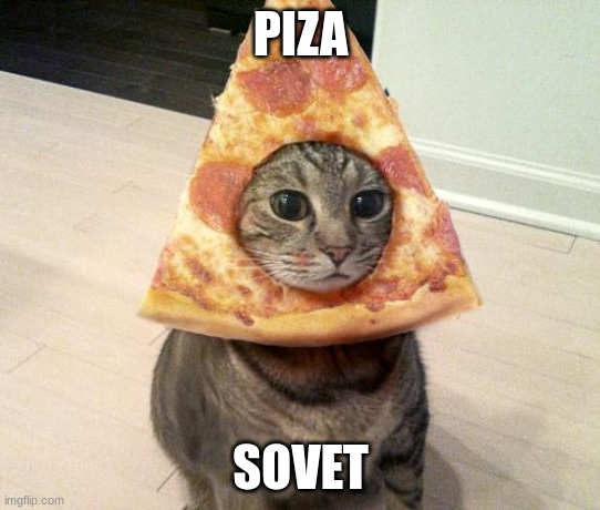 piza sovet | PIZA; SOVET | image tagged in pizza cat | made w/ Imgflip meme maker