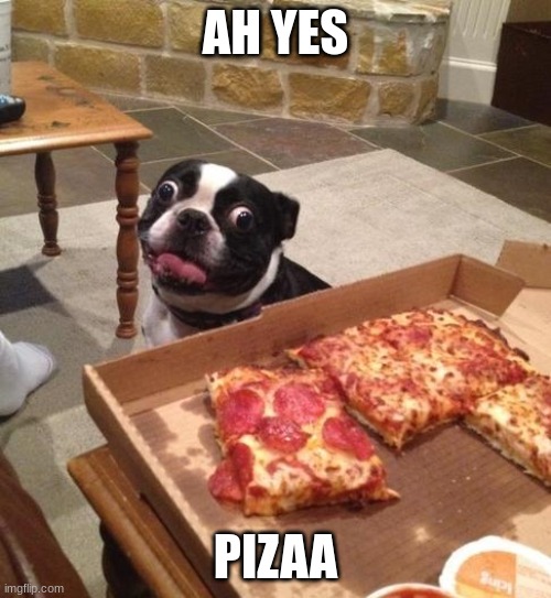 E | AH YES; PIZAA | image tagged in hungry pizza dog | made w/ Imgflip meme maker