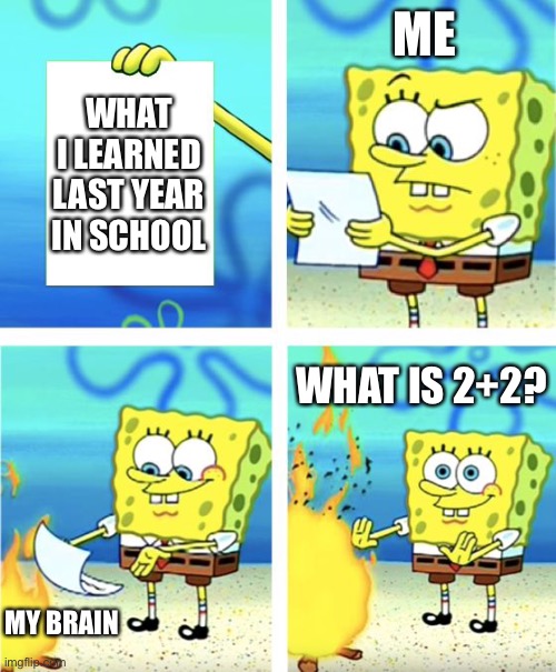 Spongebob Burning Paper | ME; WHAT I LEARNED LAST YEAR IN SCHOOL; WHAT IS 2+2? MY BRAIN | image tagged in spongebob burning paper | made w/ Imgflip meme maker