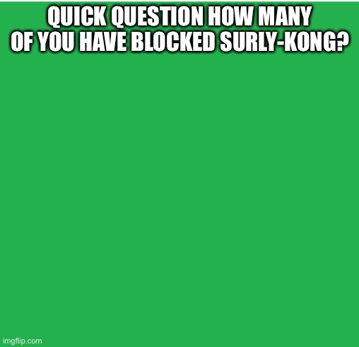 Green Screen | QUICK QUESTION HOW MANY OF YOU HAVE BLOCKED SURLY-KONG? | image tagged in green screen | made w/ Imgflip meme maker