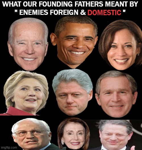 Hypocrites One and All.... | WHAT OUR FOUNDING FATHERS MEANT BY 
" ENEMIES FOREIGN & DOMESTIC "; DOMESTIC | image tagged in politics,enemies,domestic,america,partners in crime,dems and rinos | made w/ Imgflip meme maker