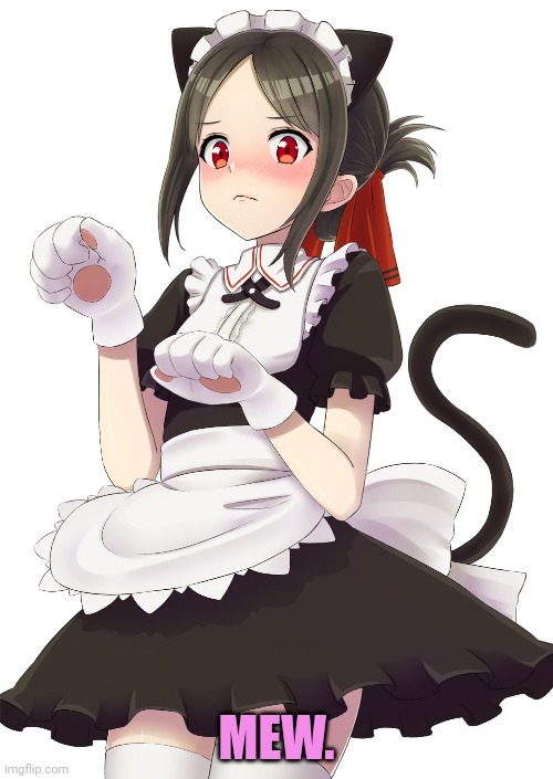 Robot catgirl waifu | MEW. | image tagged in robot,catgirl,waifu,anime girl | made w/ Imgflip meme maker
