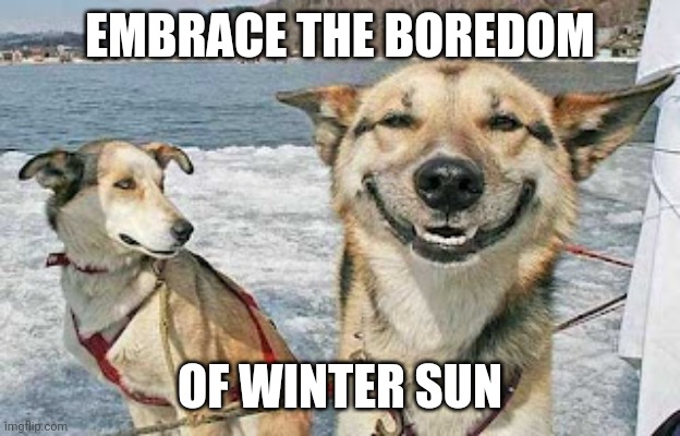 Original Stoner Dog Meme | EMBRACE THE BOREDOM OF WINTER SUN | image tagged in memes,original stoner dog | made w/ Imgflip meme maker