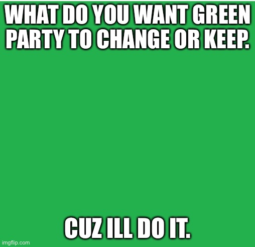 Green Screen | WHAT DO YOU WANT GREEN PARTY TO CHANGE OR KEEP. CUZ ILL DO IT. | image tagged in green screen | made w/ Imgflip meme maker
