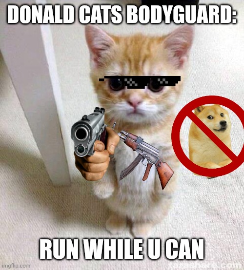 Cute Cat | DONALD CATS BODYGUARD:; RUN WHILE U CAN | image tagged in memes,cute cat | made w/ Imgflip meme maker