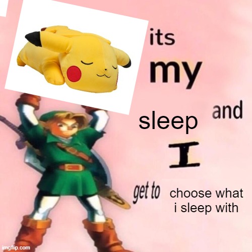 It's my ___ and I get to ____. | sleep; choose what i sleep with | image tagged in it's my ___ and i get to ____ | made w/ Imgflip meme maker