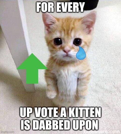 Cute Cat Meme | FOR EVERY; UP VOTE A KITTEN IS DABBED UPON | image tagged in memes,cute cat | made w/ Imgflip meme maker