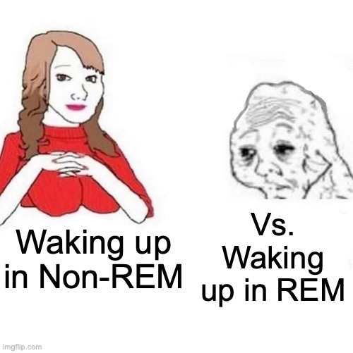Rem vs nonrem |  Vs. Waking up in REM; Waking up in Non-REM | image tagged in yes honey | made w/ Imgflip meme maker