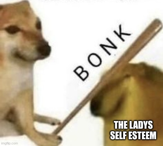 Bonk | THE LADYS SELF ESTEEM | image tagged in bonk | made w/ Imgflip meme maker