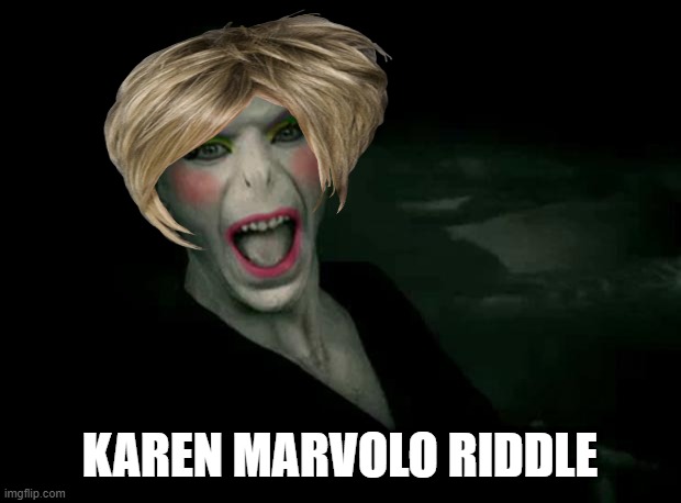 voldemort makeup | KAREN MARVOLO RIDDLE | image tagged in voldemort makeup | made w/ Imgflip meme maker