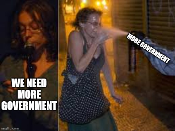 Why we need more government. | MORE GOVERNMENT; WE NEED MORE GOVERNMENT | made w/ Imgflip meme maker