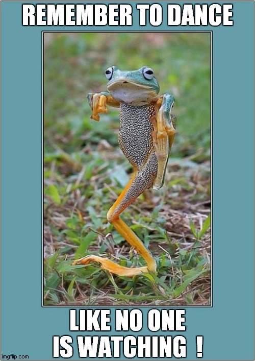 One Groovy Frog ! | REMEMBER TO DANCE; LIKE NO ONE IS WATCHING  ! | image tagged in fun,frog,funny dancing | made w/ Imgflip meme maker