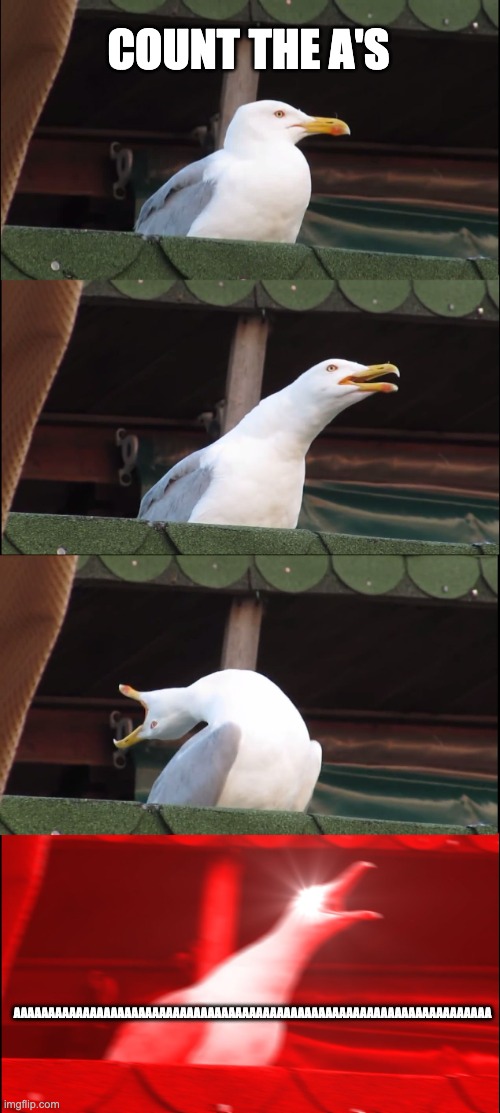 ;) | COUNT THE A'S; AAAAAAAAAAAAAAAAAAAAAAAAAAAAAAAAAAAAAAAAAAAAAAAAAAAAAAAAAAAAAAAAAAAAA | image tagged in memes,inhaling seagull,lol,funny memes,69 | made w/ Imgflip meme maker