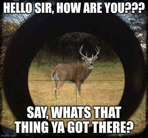 dumb deer in crosshairs |  HELLO SIR, HOW ARE YOU??? SAY, WHATS THAT THING YA GOT THERE? | image tagged in hunting,hunting memes,antihunting memes,deer,deer memes,deer lovers | made w/ Imgflip meme maker