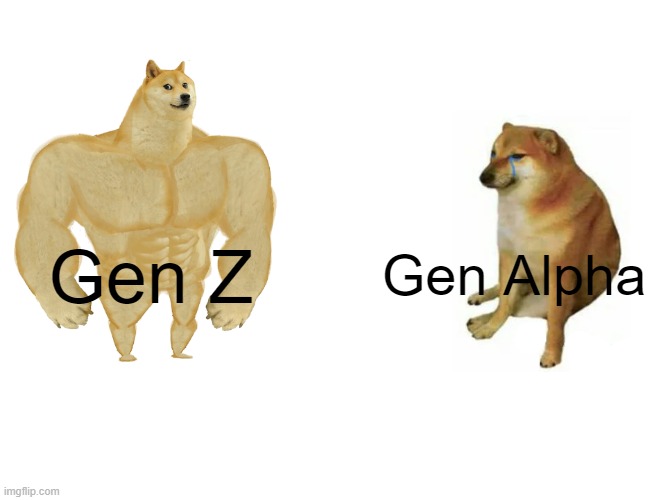 Gen z | Gen Alpha; Gen Z | image tagged in memes,buff doge vs cheems,generation z,funny,we are number one,hahaha | made w/ Imgflip meme maker