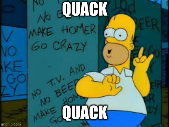 Make Homer go crazy | QUACK QUACK | image tagged in make homer go crazy | made w/ Imgflip meme maker