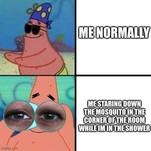 happened tuesday night | ME NORMALLY; ME STARING DOWN THE MOSQUITO IN THE CORNER OF THE ROOM WHILE IM IN THE SHOWER | made w/ Imgflip meme maker