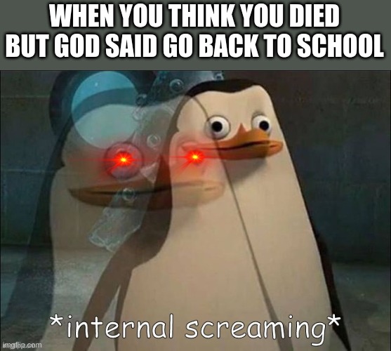 Private Internal Screaming | WHEN YOU THINK YOU DIED BUT GOD SAID GO BACK TO SCHOOL | image tagged in private internal screaming | made w/ Imgflip meme maker