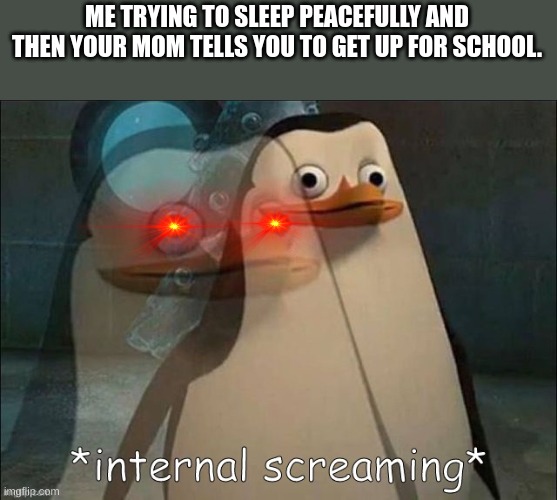Private Internal Screaming | ME TRYING TO SLEEP PEACEFULLY AND THEN YOUR MOM TELLS YOU TO GET UP FOR SCHOOL. | image tagged in private internal screaming | made w/ Imgflip meme maker