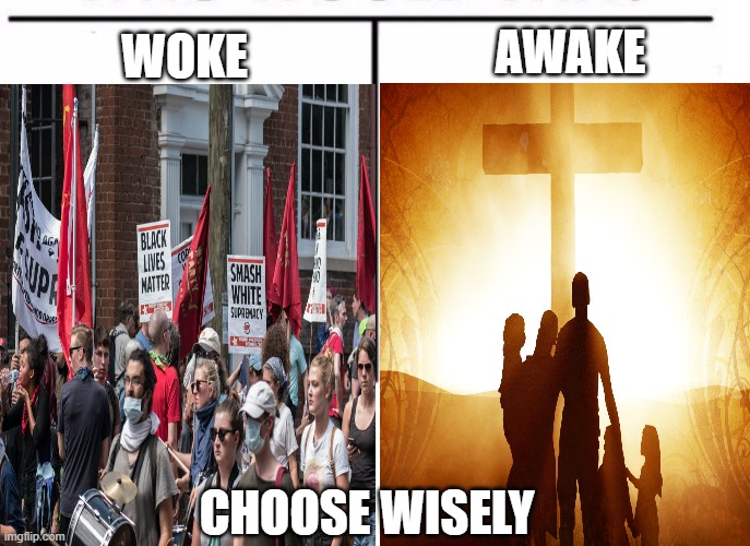 Choose wisely | AWAKE; WOKE; CHOOSE WISELY | made w/ Imgflip meme maker