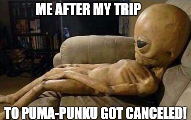 bummer | ME AFTER MY TRIP; TO PUMA-PUNKU GOT CANCELED! | image tagged in alien on sofa | made w/ Imgflip meme maker