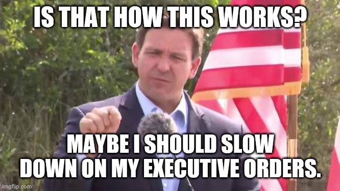 Florida Governor Ron DeSantis | IS THAT HOW THIS WORKS? MAYBE I SHOULD SLOW DOWN ON MY EXECUTIVE ORDERS. | image tagged in florida governor ron desantis | made w/ Imgflip meme maker